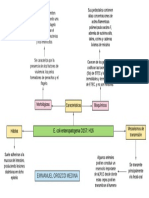 Emmanuel - Mapa Conceptual (E. Coli)