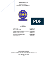 Laporan Praktikum Kimia Organik I Pengenalan Gugus Fungsi Kelompok 2b PDF Free