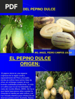 13-Clase Pepino Dulce