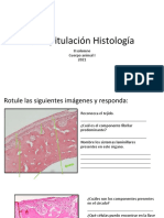 Histologia