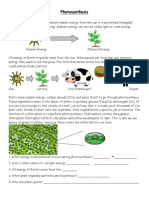 Photosynthesis Reading and Questions PDF