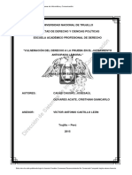 2015 Vulneracion Del Derecho A La Prueba en El Juzgamiento Anticipado Laboral 650 Pag