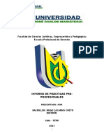 Informe Practicas P.P Hugo