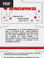 Hematopoyesis