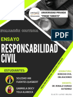 Ensayo Responsabilidad Civil.