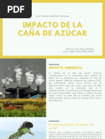 Impacto de La Caña de Azúcar