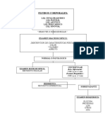 Algoritmo LIQUIDOS CORPORALES