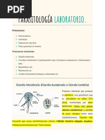 Apuntes de Parasitología Laboratorio