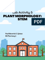 Lab Activity 5: Plant Morphology: Stem