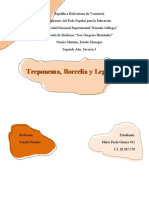 Trabajo de Investigación. Treponema, Borrelia y Leptospira. Maria Paola Gomez Nro 11 Sección 3