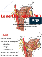 6.2 Le Nerf Hypoglosse