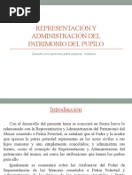 Representación y Administración Del Patrimonio Del Pupilo