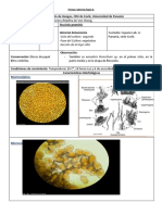 Ficha Micológica