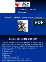 Medios de Prueba