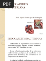 Endocarditis 2017