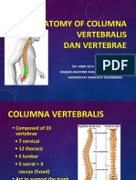 Materi 4 - Anatomy of Columna Vertebralis Dan Vertebrae