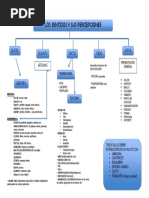 Mapa Conceptual LOS SENTIDOS