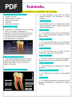 Endodontia