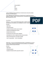 Caso Clínico - Correntes Russa e Aussie