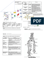 07 10 2021 Bio Assignment