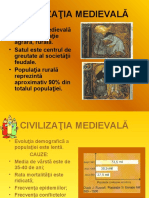 Societatea Medievală