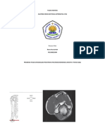 Anatomi Crossectional