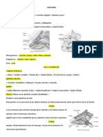 Anatomia y Fisiologia Del S.digestivo