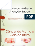 Saúde Da Mulher