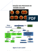 Mapa Mental - Divisão Celular