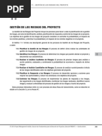 Cap 11 Gestion Riesgos PMBOK