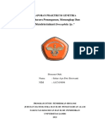 Tatacara Penanganan, Menangkap Dan Mendeterminasi Drosophila Sp.