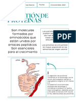 Digestión de Proteinas