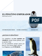 Pinguinos