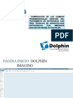 Manual Dolphin