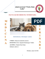 Caso-Clinico-Ehrlichiosis-Y-Distemper Diana Carolina Obando Diaz