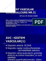 ACCIDENT VASCULAR CEREBRAL Curs NR 3