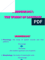 Morphology: The Words of Language