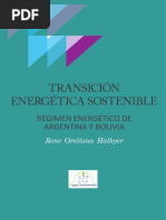 Transición Energética - Rene Orellana Halkyer