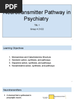 Neurotransmitter Pathway in Psychiatry