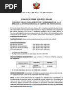 Convocatoria 001-2021-SN-JNJ