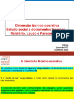 Dimensão Técnico-Operativa