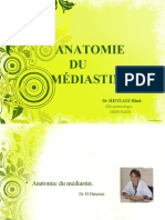 Anatomie Du Mediastin 55849bd089824