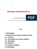 Annexes Embryonnaires