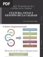 Cultura, Ciclo y Gestión de La Calidad (Te)