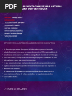 Sistemas de Alimentación de Gas Natural para Uso Vehicular: Docente: Integrantes