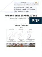 PM SSMAC 200 001 Plan Anual de Seguridad SO y Medio Ambiente 2021