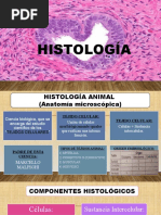 Histologia Animal y Vegetal