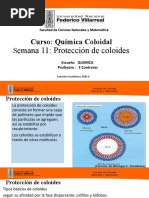 Quimica Coloidal S 11. Proteccion de Coloides.