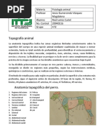 Topografia Animal