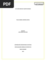 Caso Práctico U1 C2 Alta Dirección